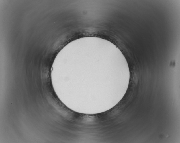 X0000112390711200909241238