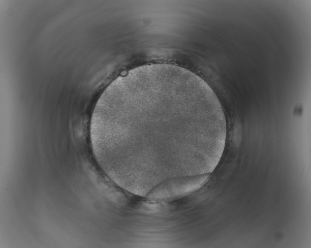 X0000112390712200909241238