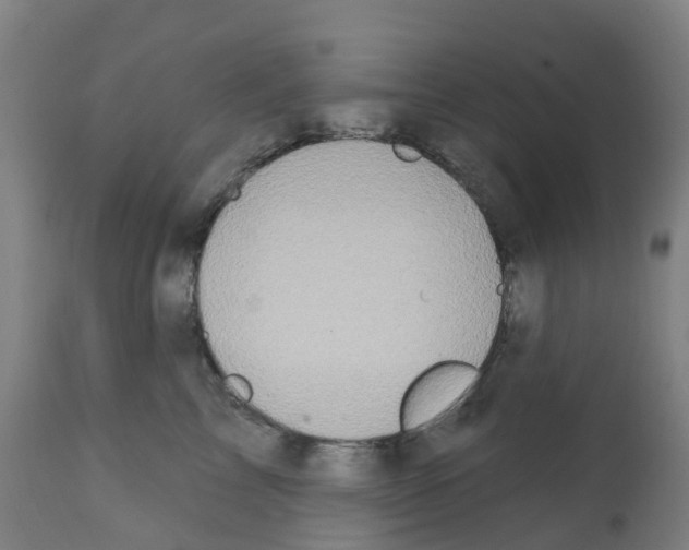 X0000112390713200909241238