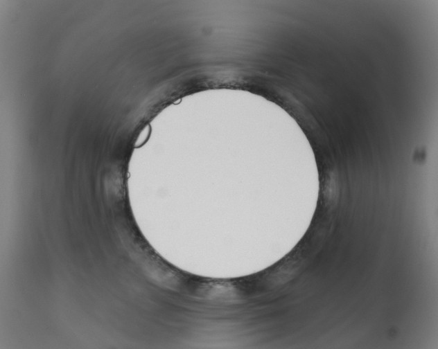 X0000112390715200909241238