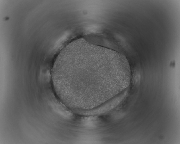 X0000112390716200909241238