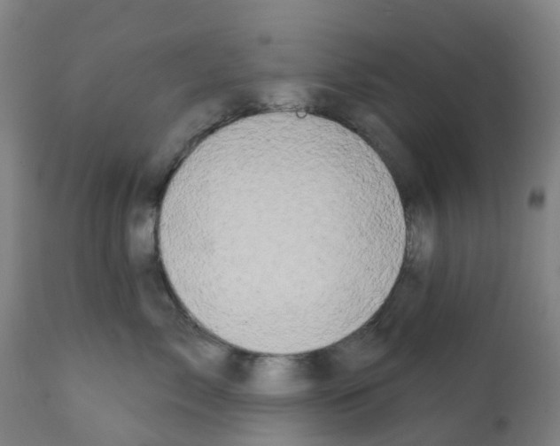 X0000112390717200909241238