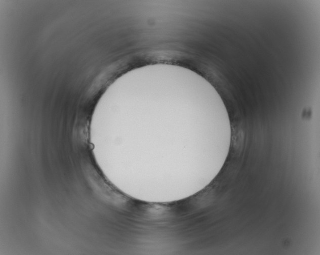 X0000112390718200909241238