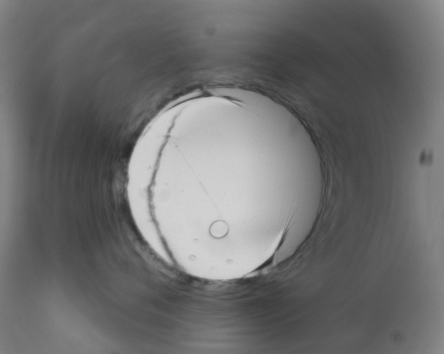 X0000112390720200909241238