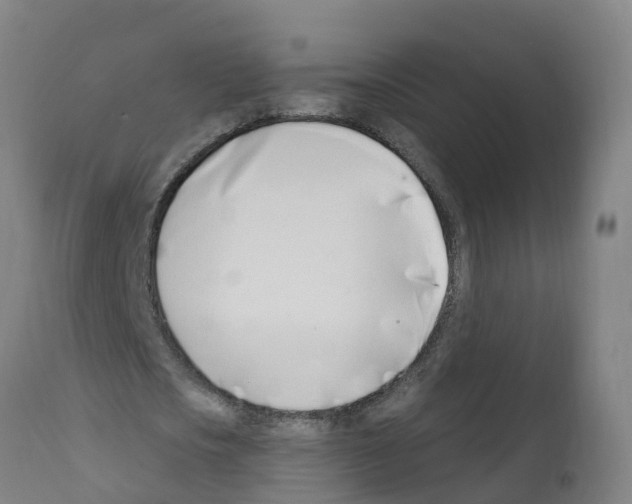 X0000112390721200909241238