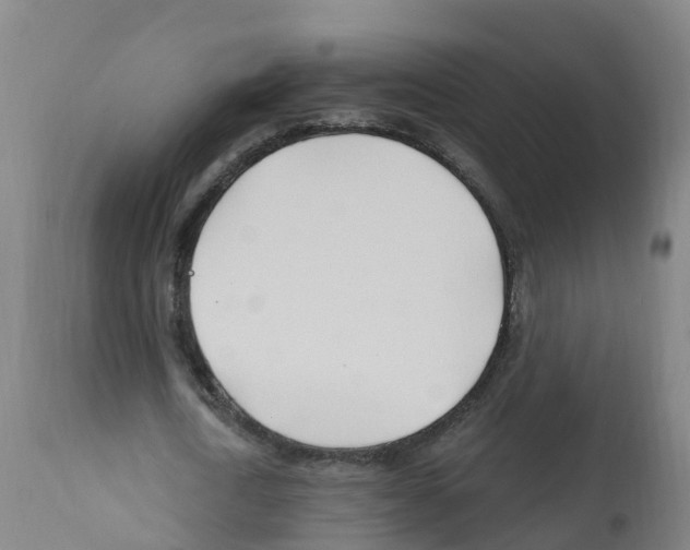 X0000112390722200909241238