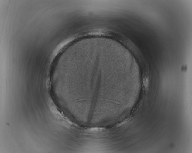 X0000112390724200909241238
