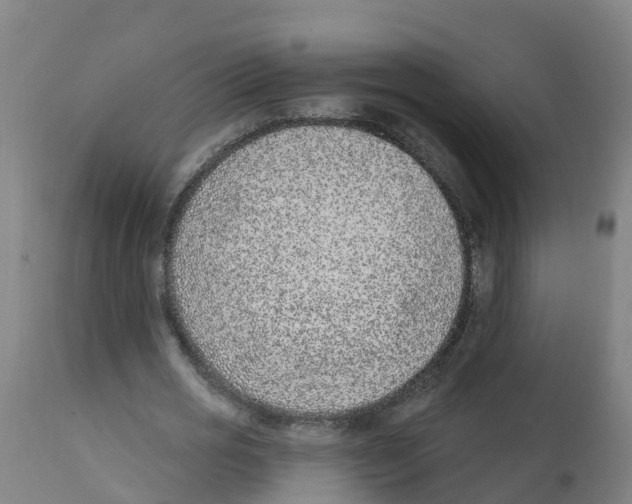 X0000112390725200909241238