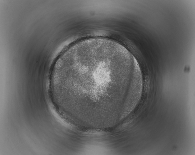 X0000112390726200909241238