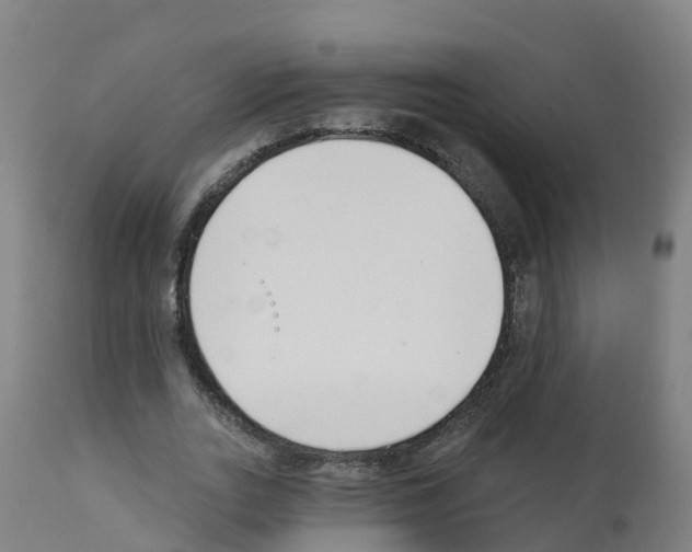 X0000112390727200909241238