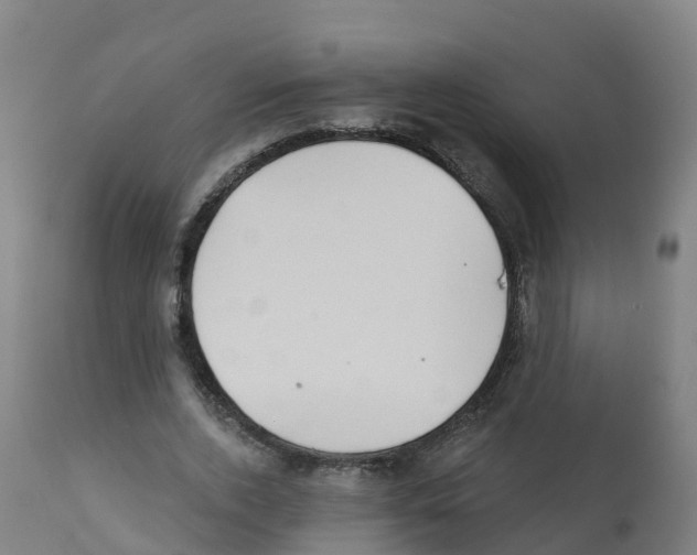 X0000112390728200909241238