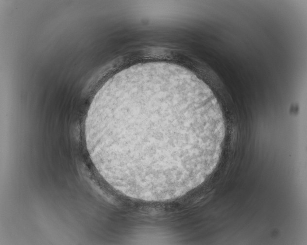 X0000112390729200909241238