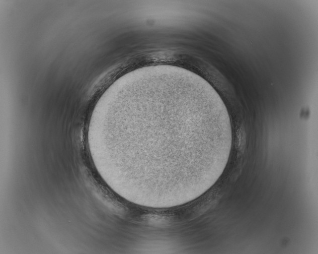 X0000112390733200909241238