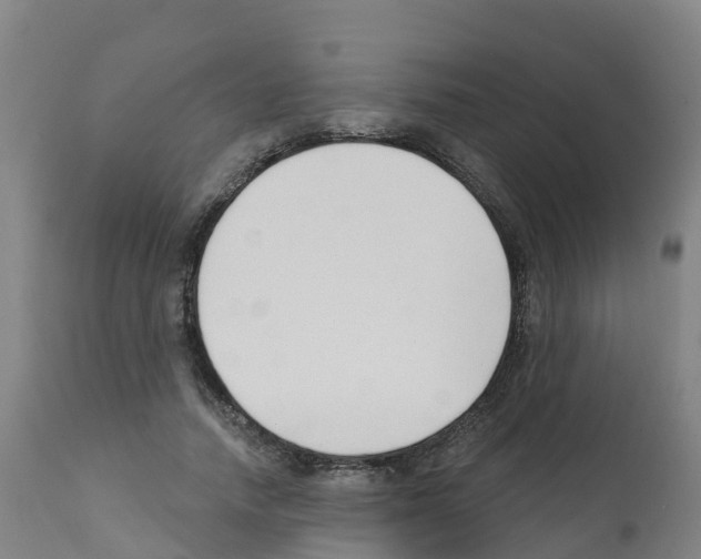X0000112390738200909241238