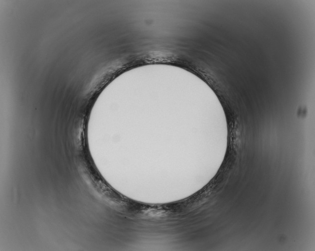 X0000112390742200909241238