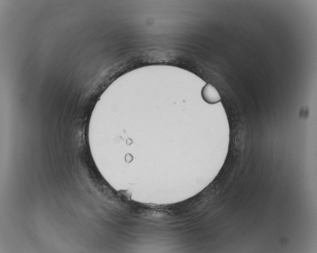 X0000112390743200909241238