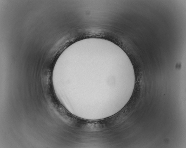 X0000112390744200909241238