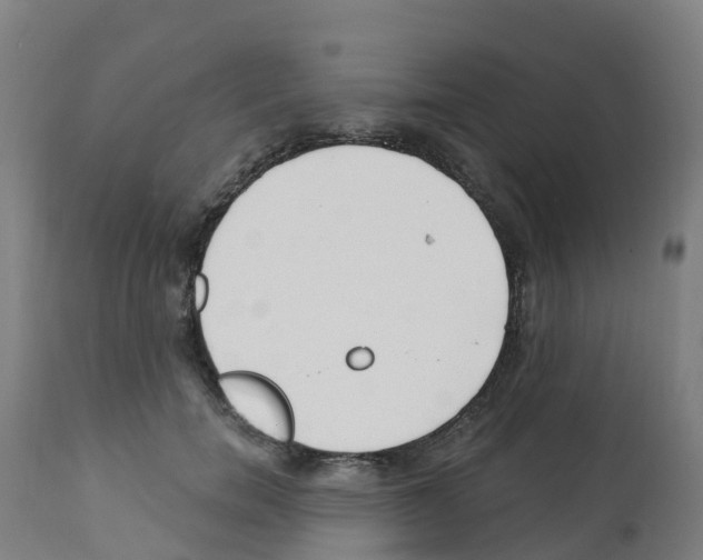 X0000112390750200909241238