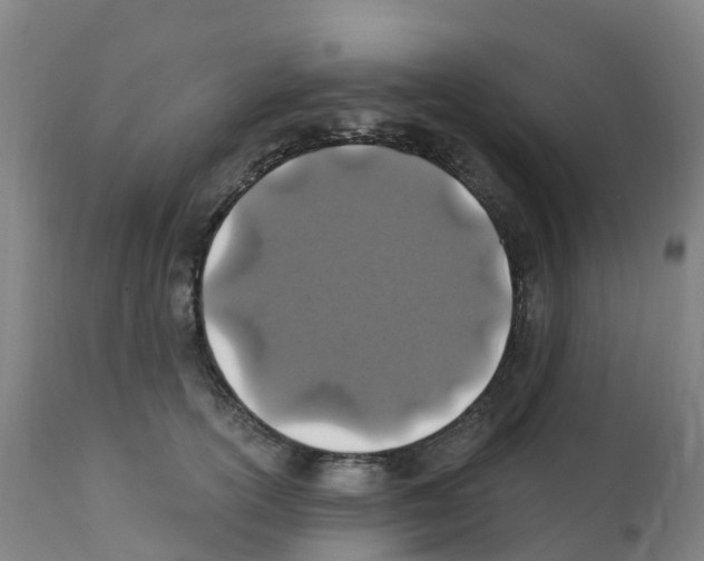 X0000112390754200909241238