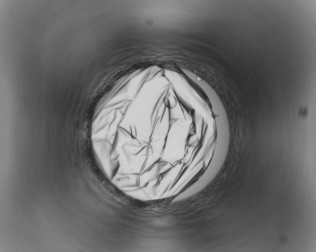 X0000112390756200909241238