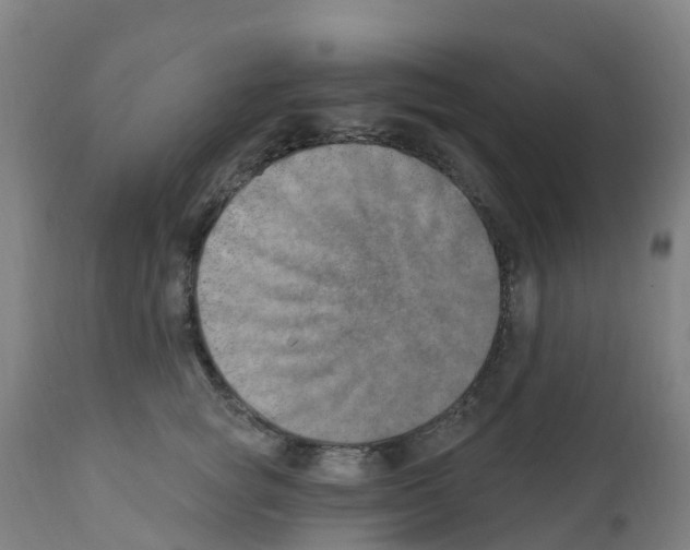 X0000112390757200909241238
