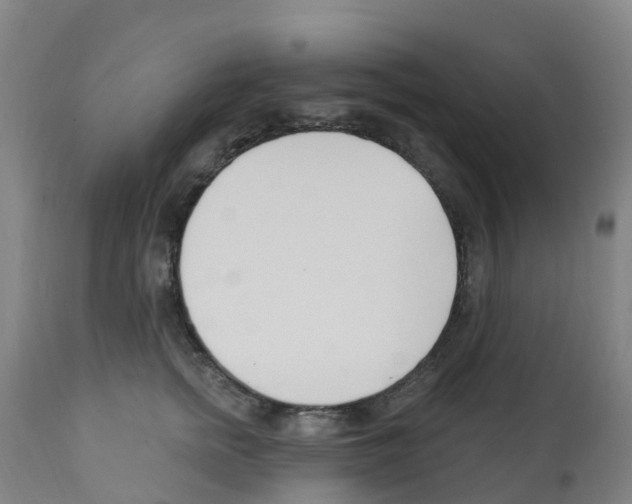 X0000112390758200909241238