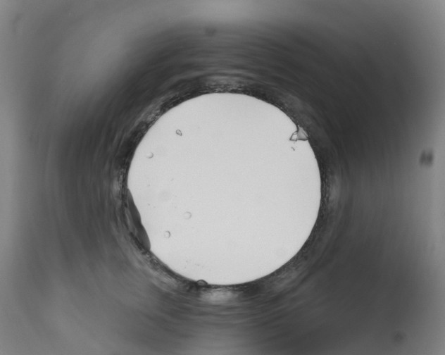 X0000112390759200909241238