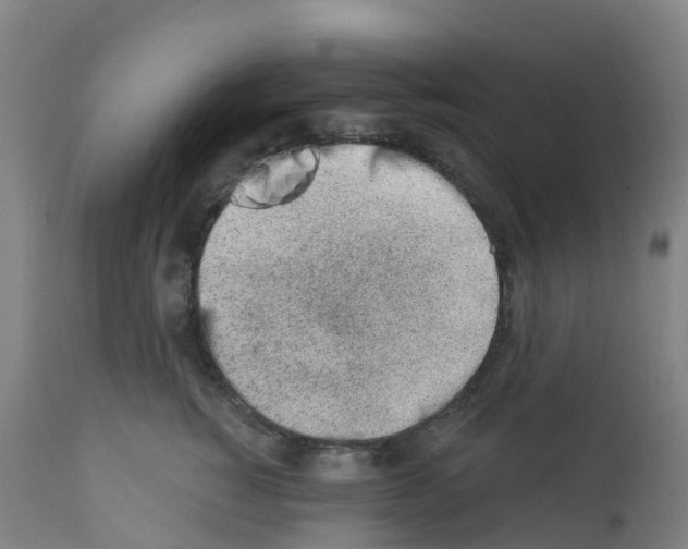 X0000112390760200909241238