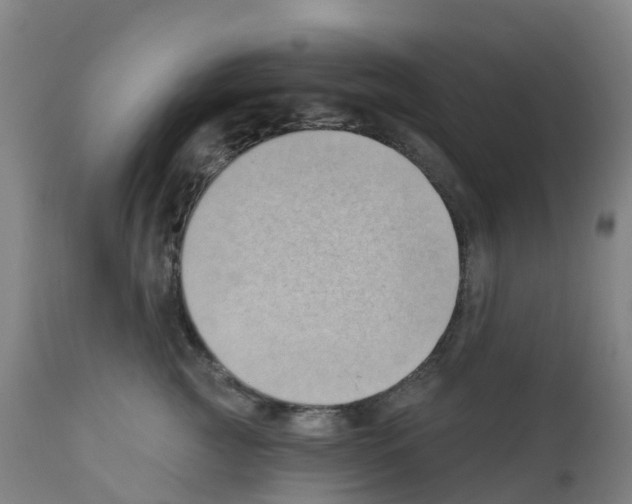 X0000112390761200909241238