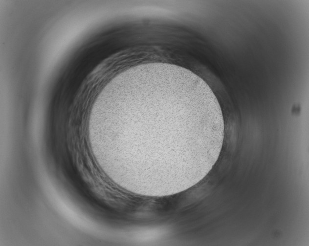 X0000112390765200909241238