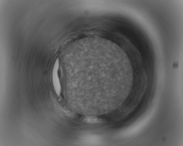 X0000112390767200909241238