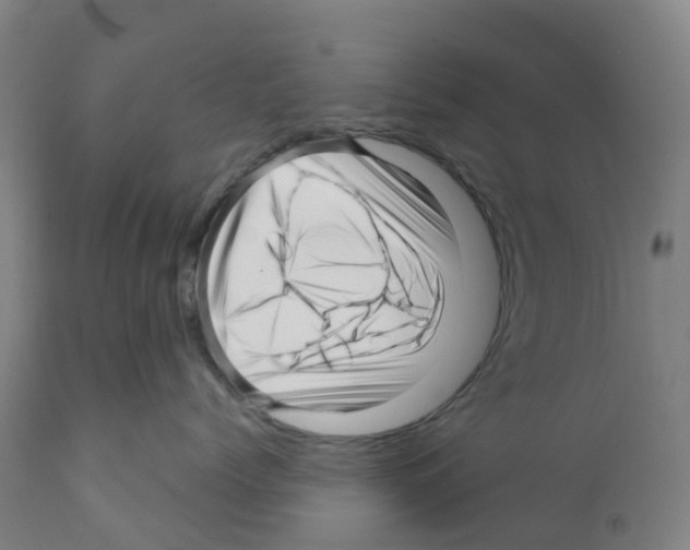 X0000112390768200909241238