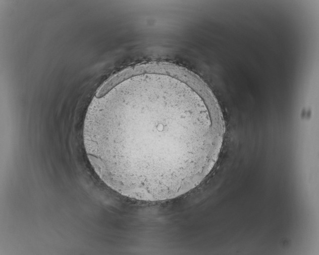 X0000112390769200909241238