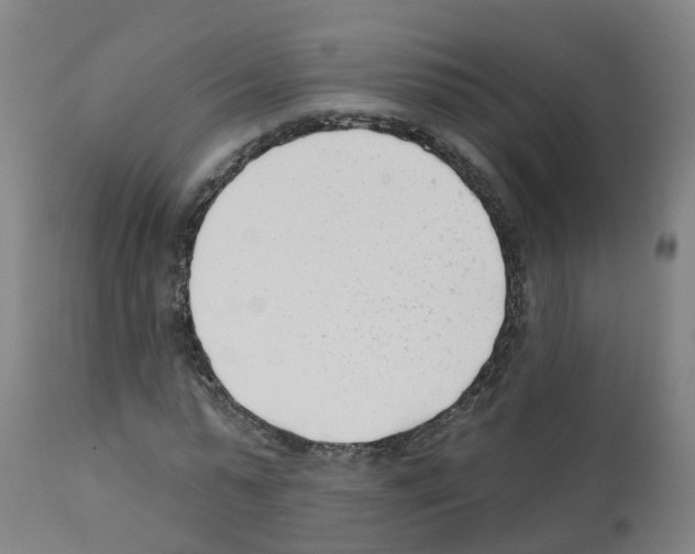 X0000112390775200909241237