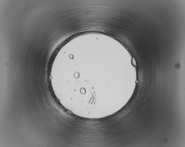 X0000112390780200909241237