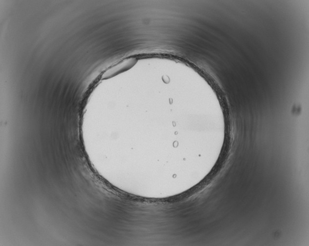 X0000112390781200909241237
