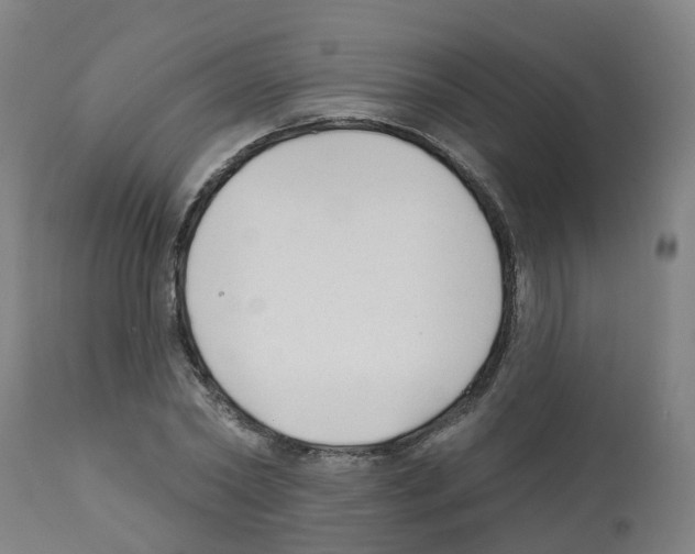 X0000112390782200909241237