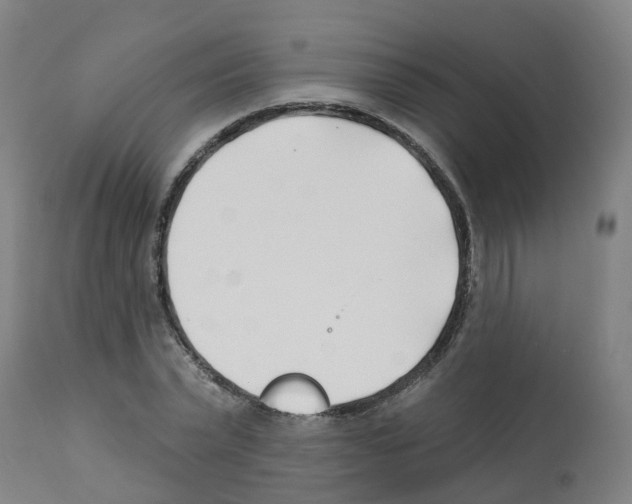 X0000112390783200909241237