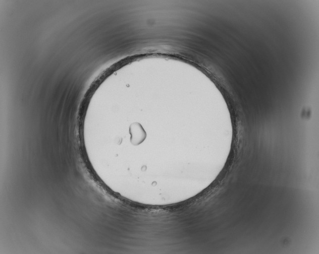 X0000112390784200909241237