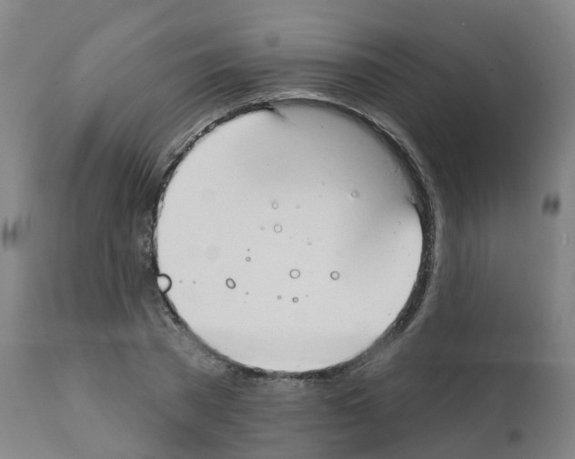 X0000112390785200909241237