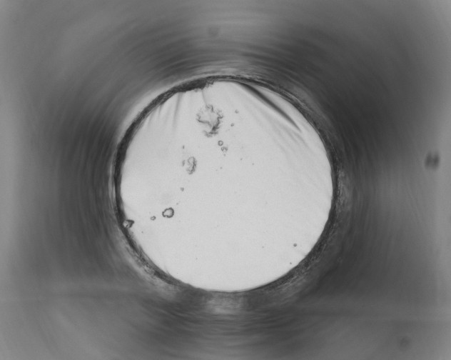 X0000112390788200909241237