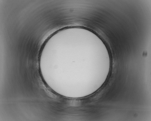 X0000112390789200909241237