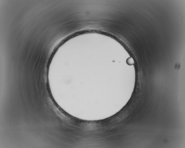 X0000112390791200909241237
