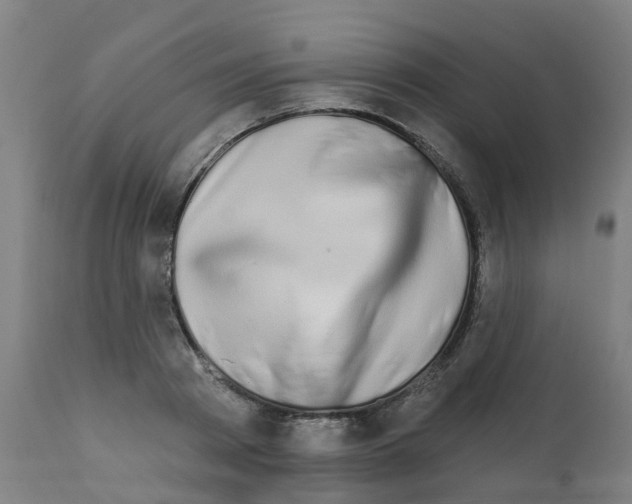X0000112390793200909241237