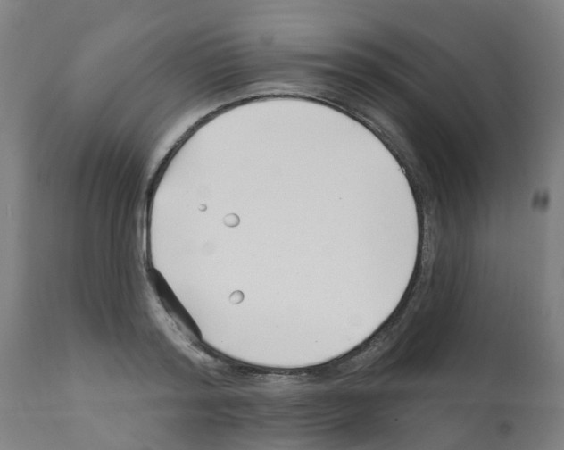 X0000112390796200909241237