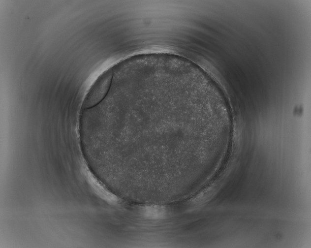 X0000112390797200909241237