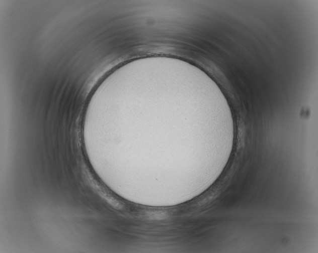 X0000112390798200909241237