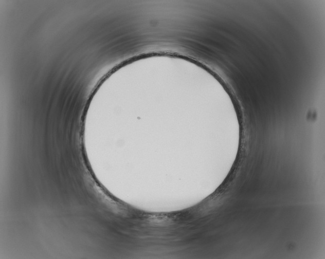 X0000112390799200909241237