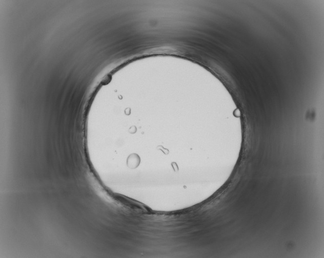 X0000112390800200909241237