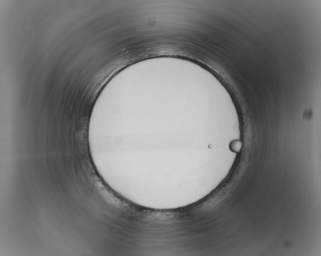 X0000112390801200909241237